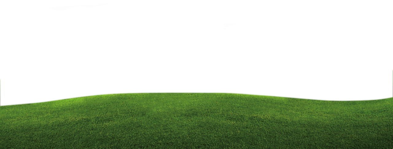 Detail Background Rumput Hd Nomer 39