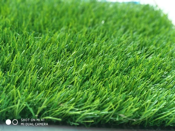Detail Background Rumput Sintetis Nomer 16