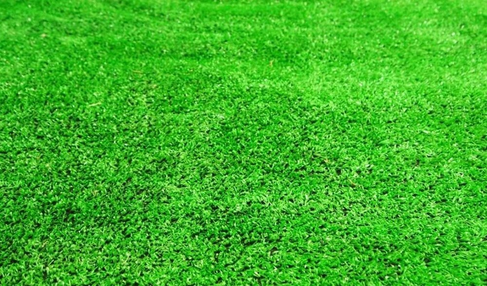 Detail Background Rumput Sintetis Nomer 49