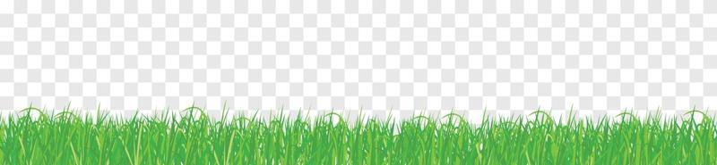 Detail Background Rumput Vector Nomer 11