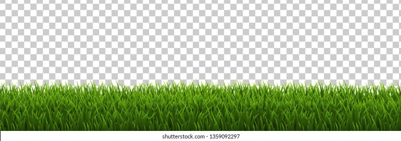 Detail Background Rumput Vector Nomer 15