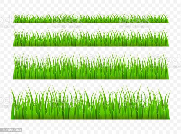 Detail Background Rumput Vector Nomer 16