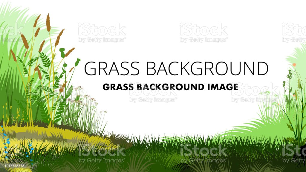 Detail Background Rumput Vector Nomer 18