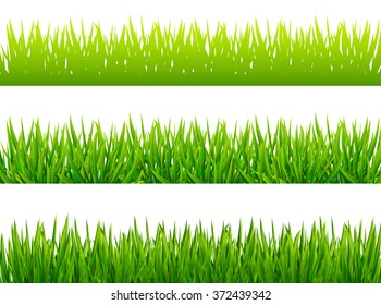 Detail Background Rumput Vector Nomer 20