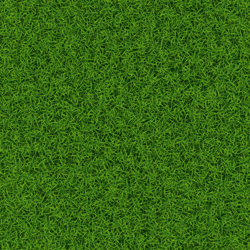 Detail Background Rumput Vector Nomer 3