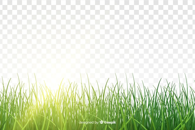 Detail Background Rumput Vector Nomer 21