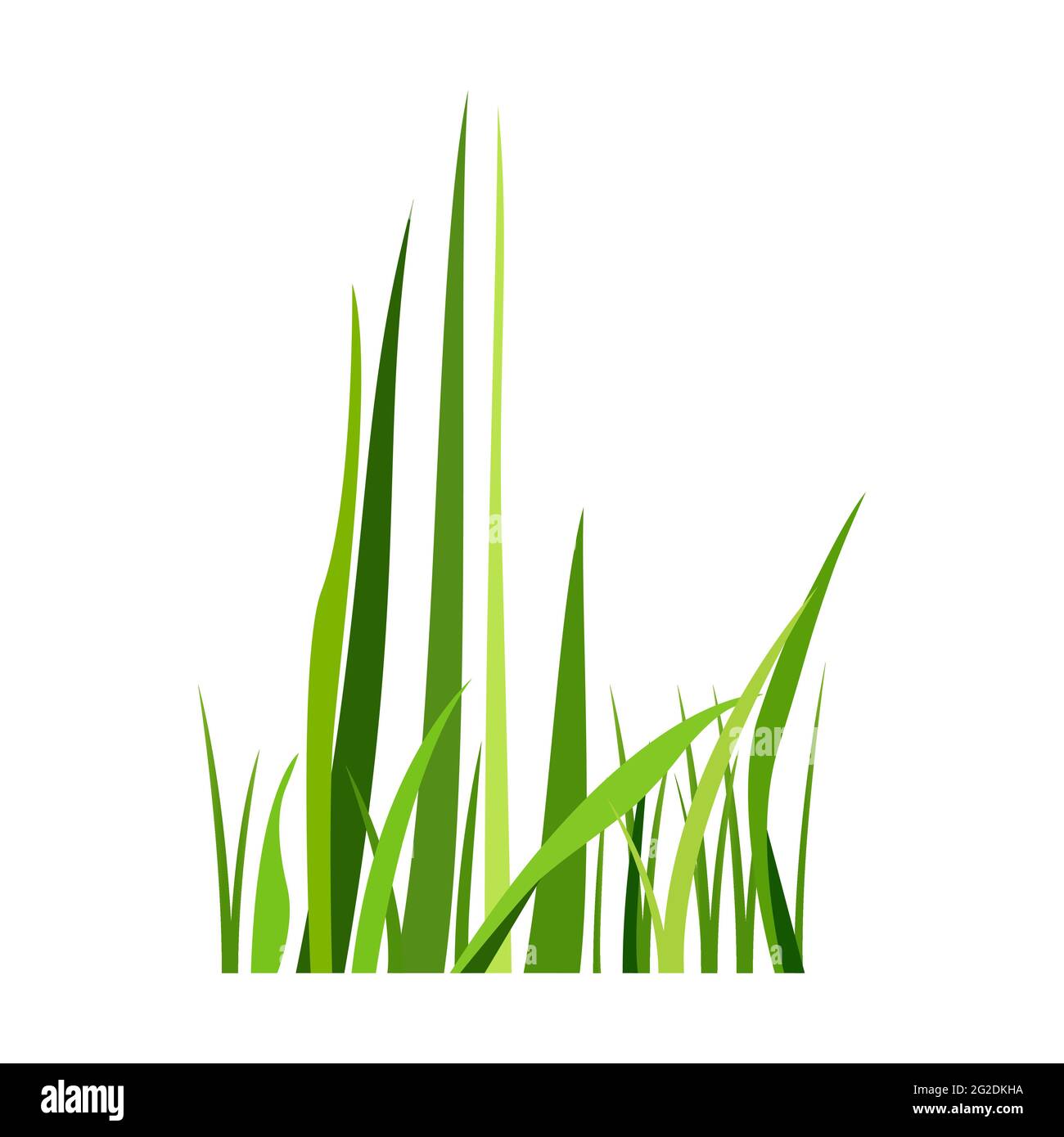 Detail Background Rumput Vector Nomer 29