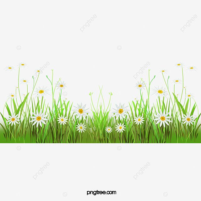 Detail Background Rumput Vector Nomer 31