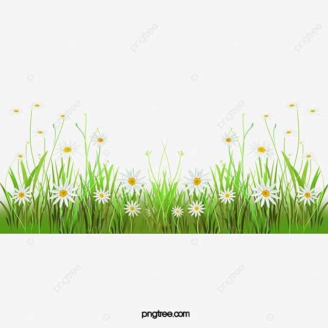 Detail Background Rumput Vector Nomer 31