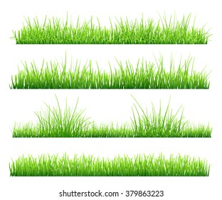 Detail Background Rumput Vector Nomer 35