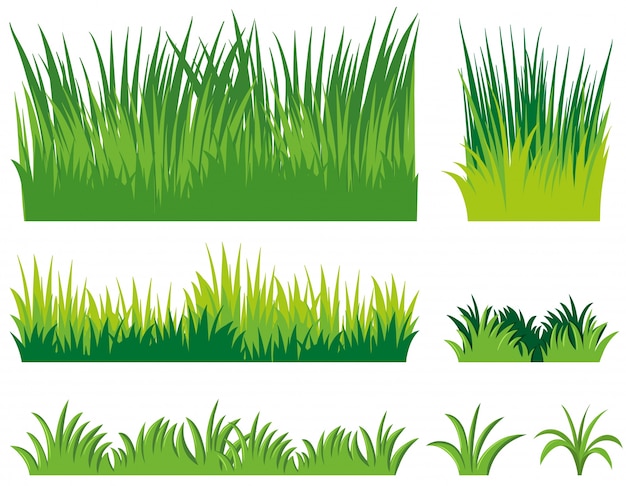 Detail Background Rumput Vector Nomer 6