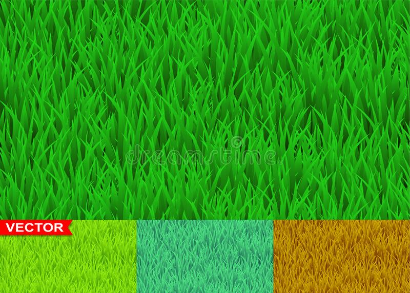 Detail Background Rumput Vector Nomer 48