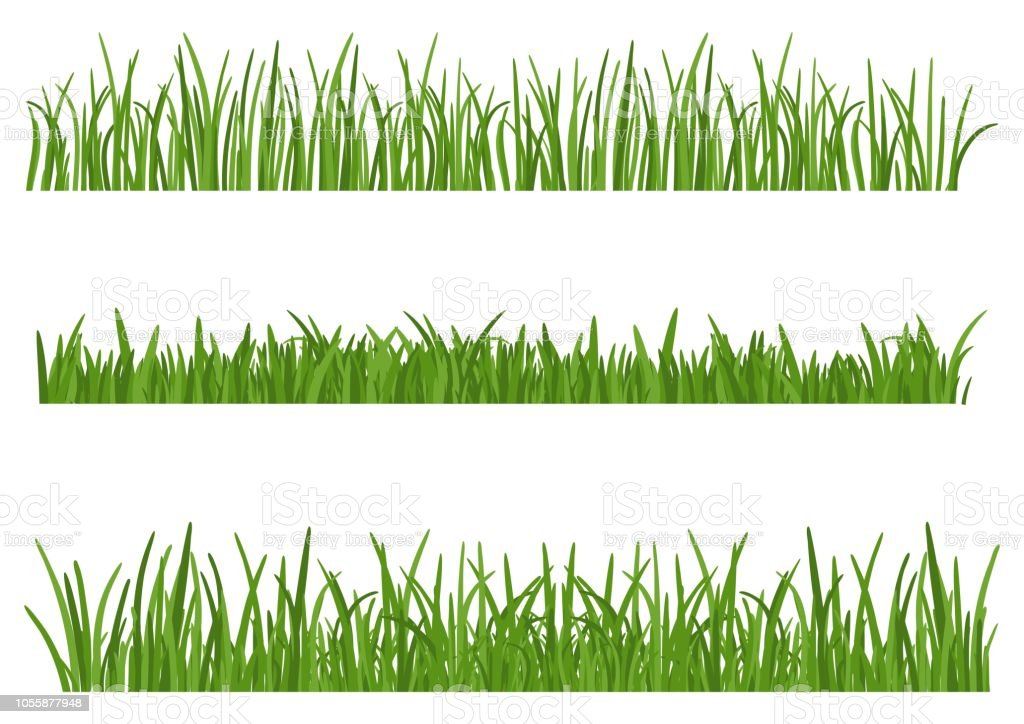 Detail Background Rumput Vector Nomer 8