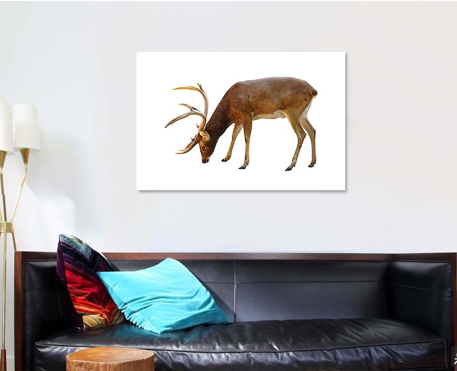 Detail Background Rusa Nomer 30