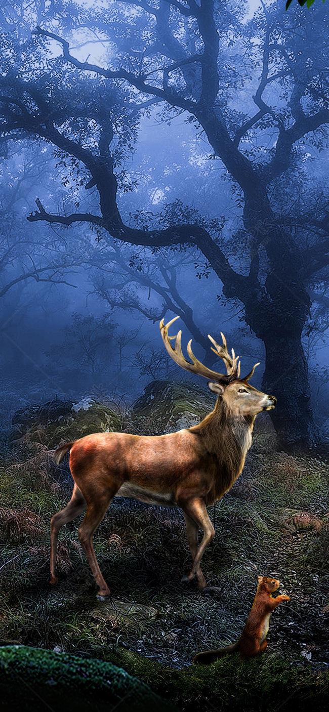 Detail Background Rusa Nomer 44