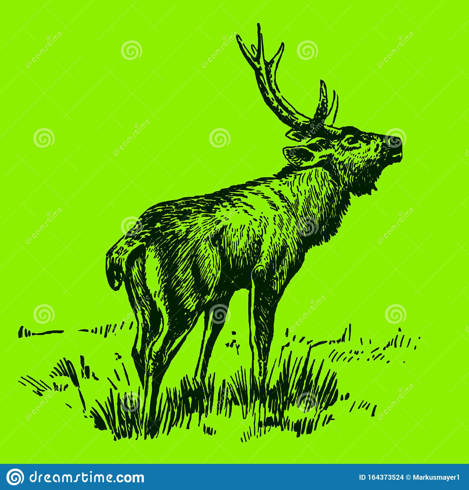 Detail Background Rusa Nomer 5