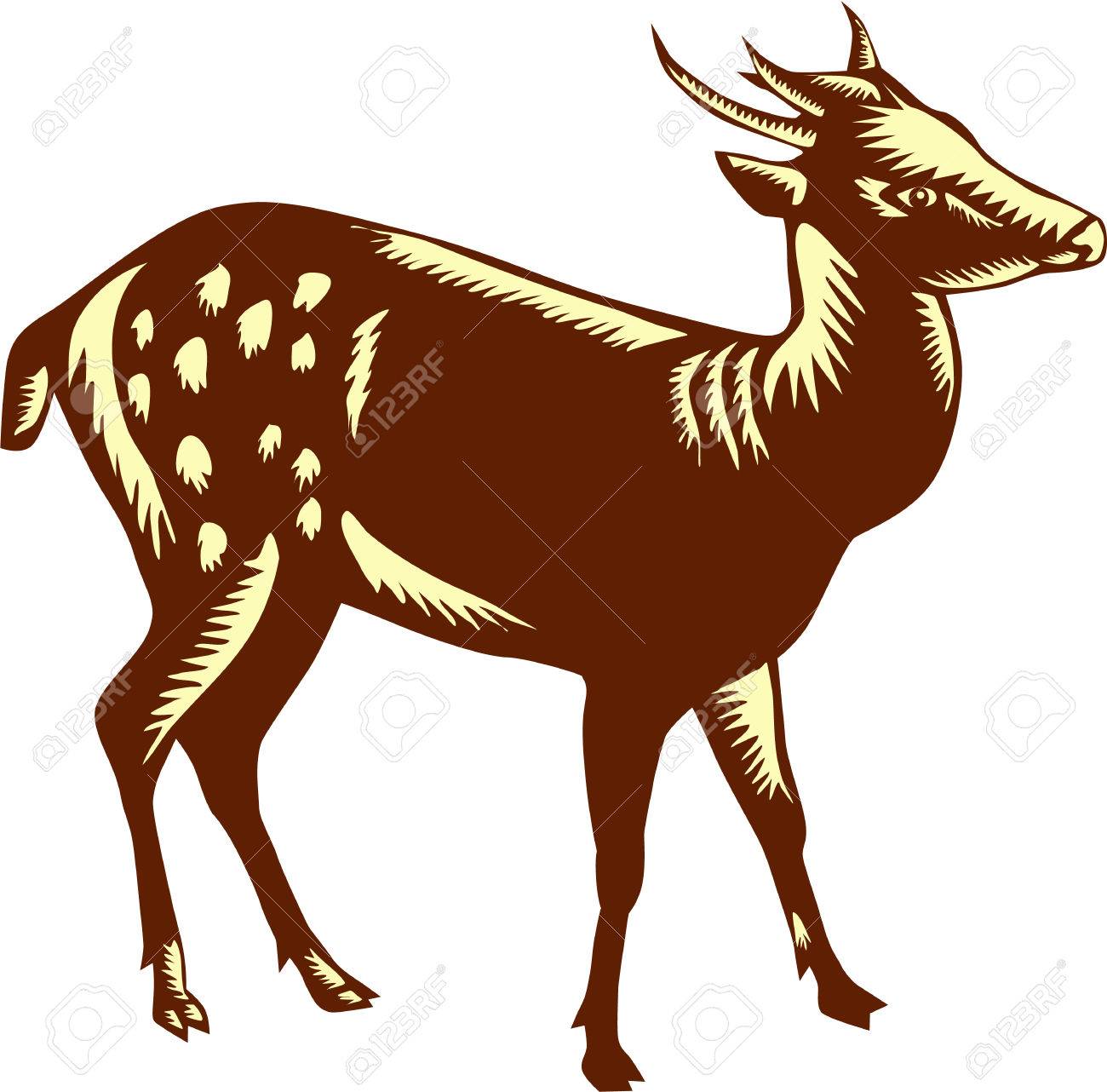 Detail Background Rusa Nomer 55