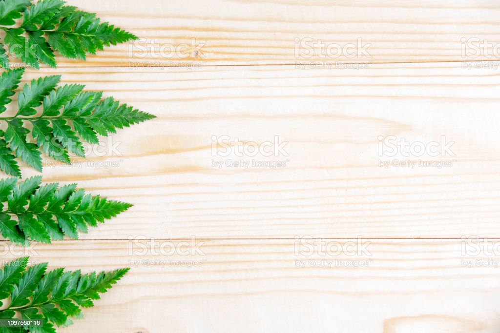 Detail Background Rustic Daun Nomer 13