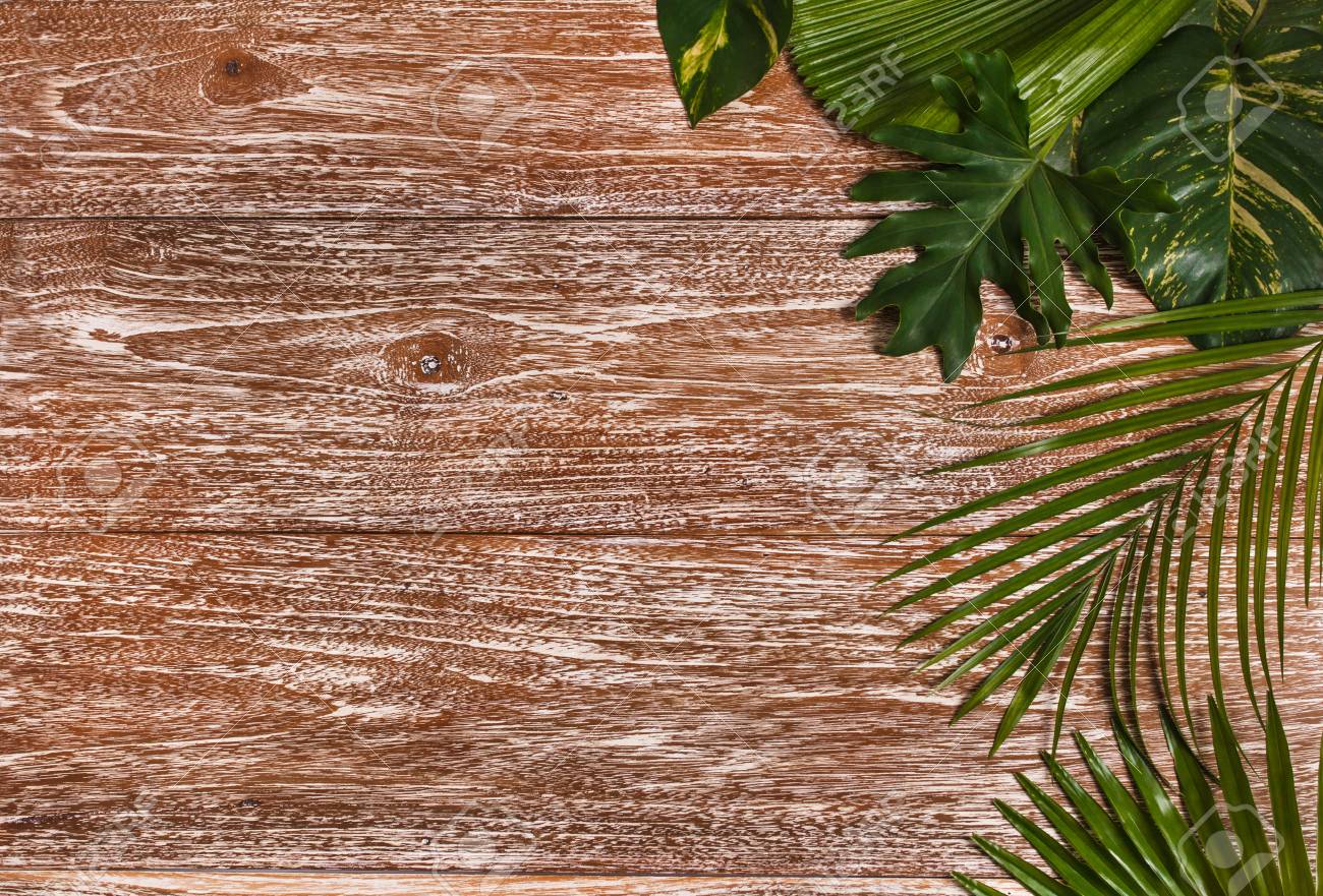 Detail Background Rustic Daun Nomer 3