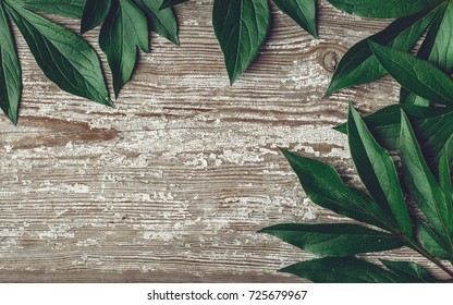 Detail Background Rustic Daun Nomer 35