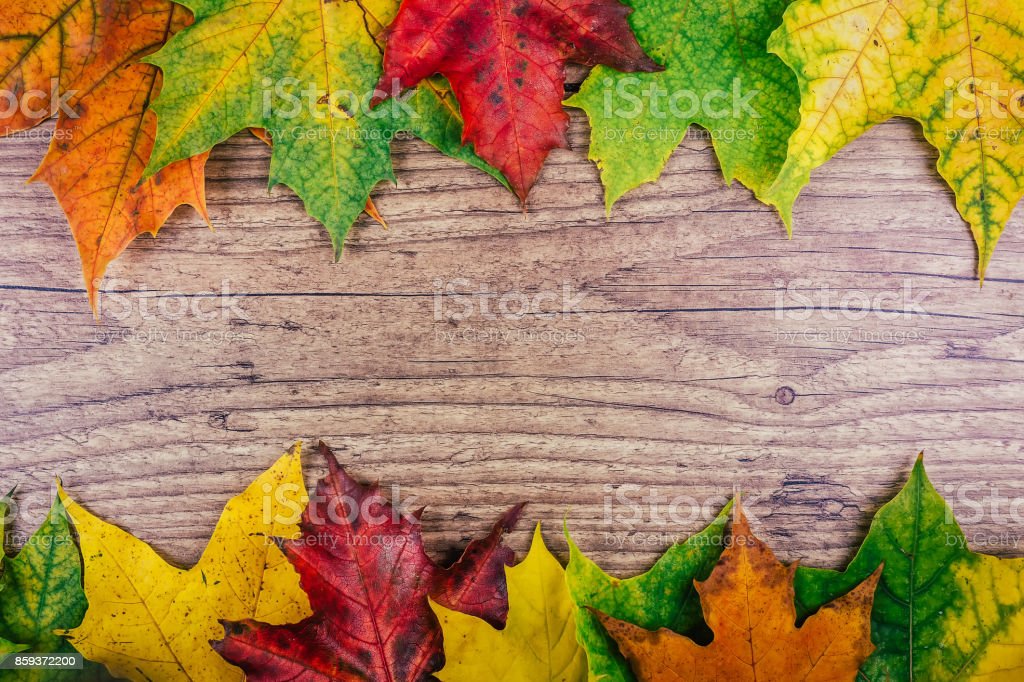 Detail Background Rustic Daun Nomer 52