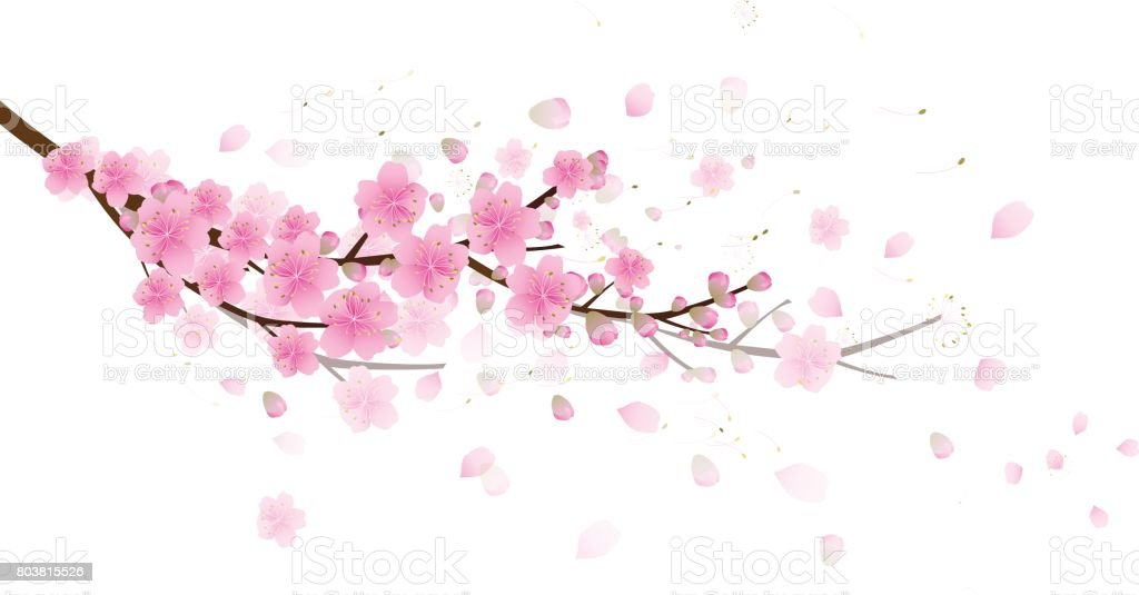 Detail Background Sakura Nomer 20