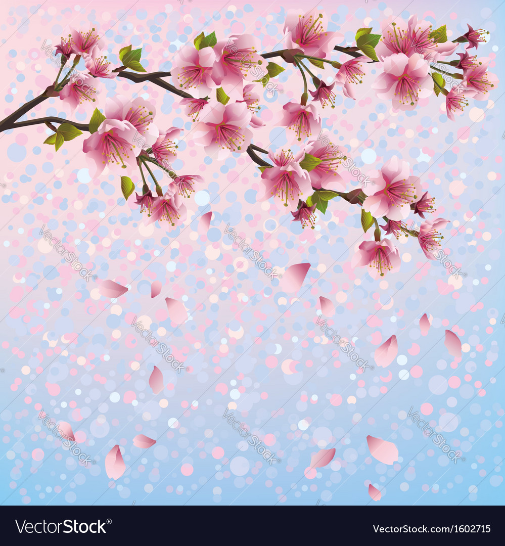 Detail Background Sakura Nomer 23