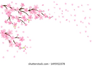 Detail Background Sakura Hd Nomer 36