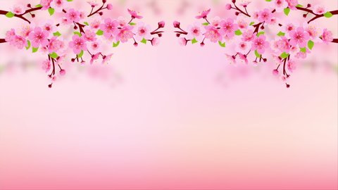 Detail Background Sakura Hd Nomer 10