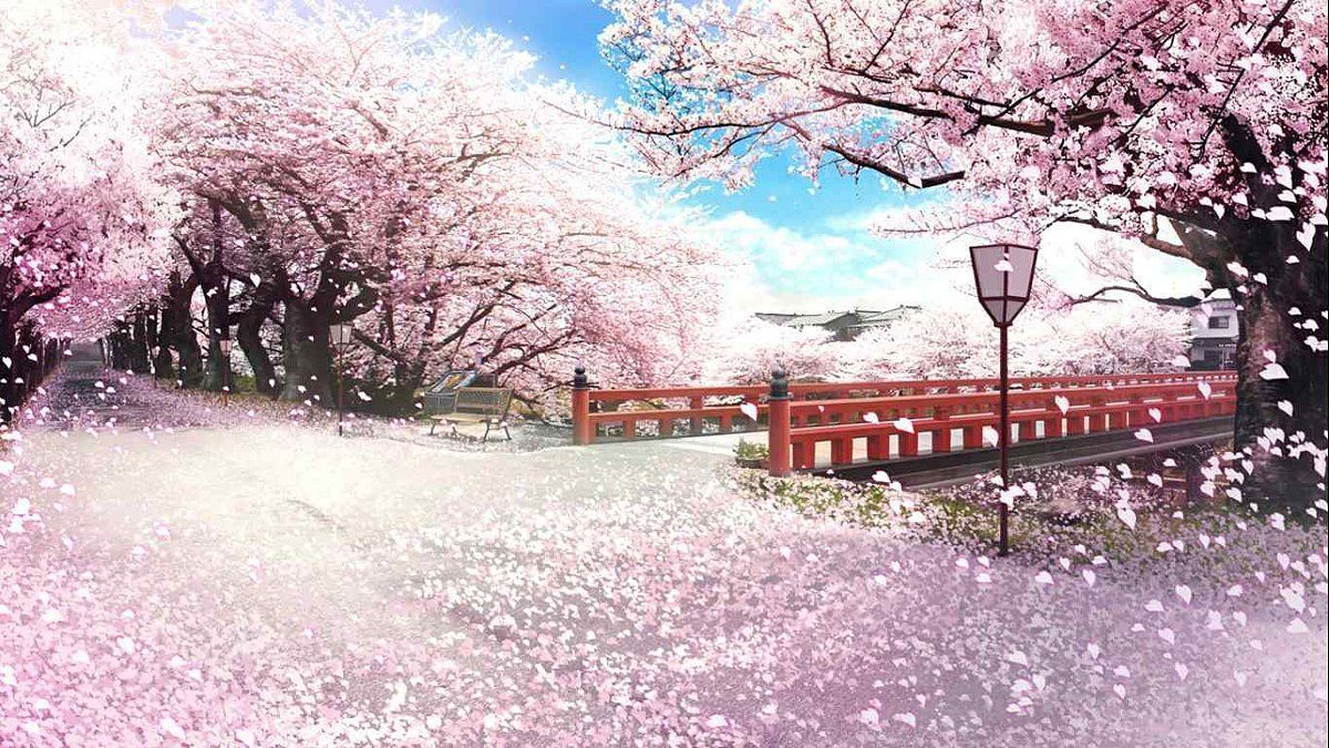 Detail Background Sakura Jepang Nomer 8