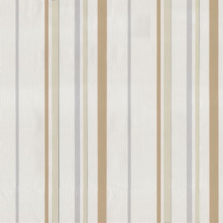 Background Salur - KibrisPDR