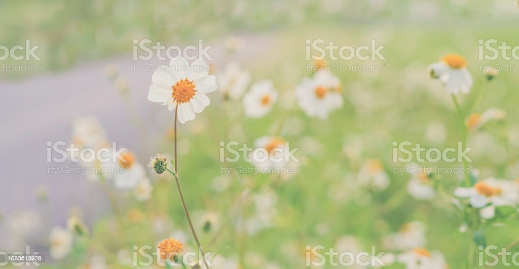 Detail Background Santai Nomer 15
