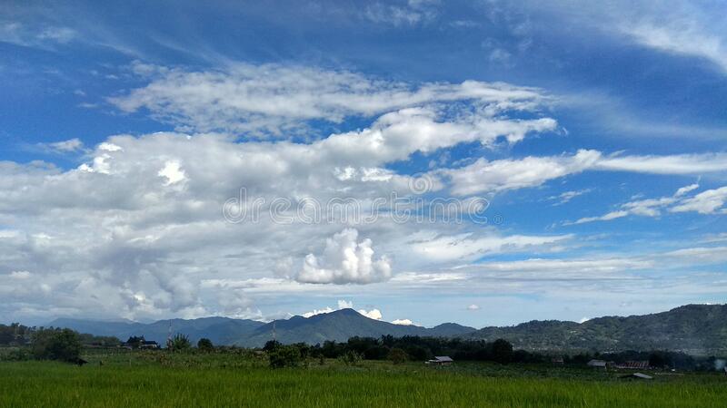 Detail Background Sawah Nomer 42
