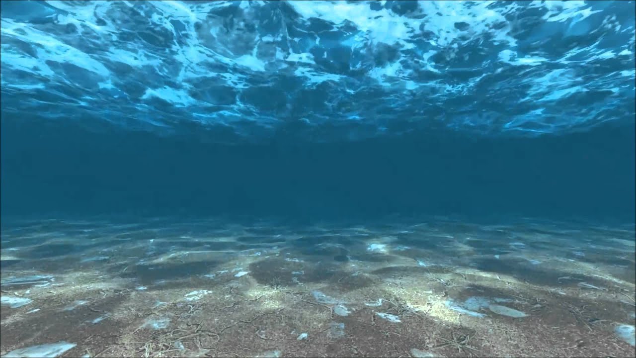Detail Background Sea Nomer 24