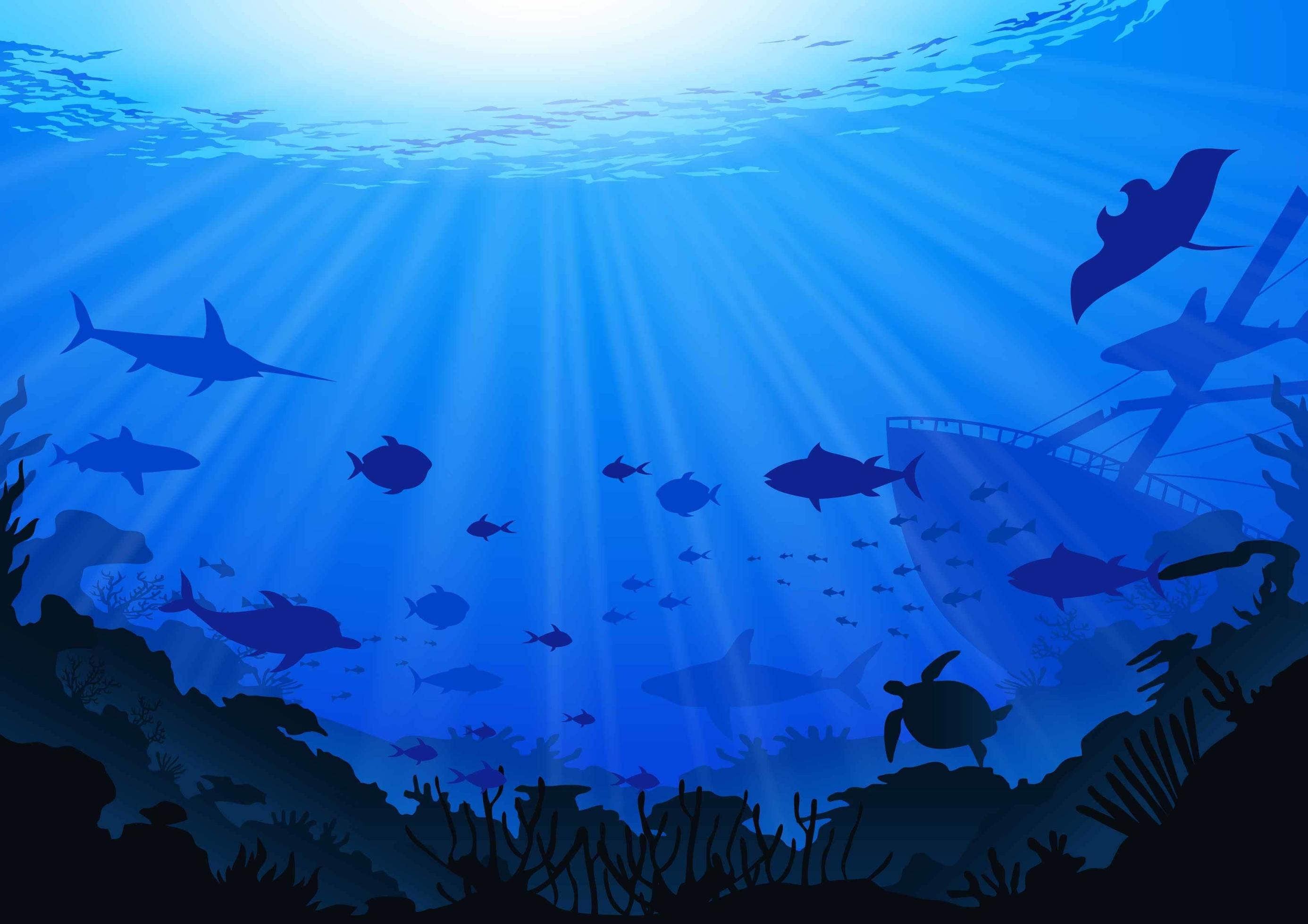 Detail Background Sea Nomer 35