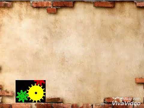 Detail Background Sejarah Powerpoint Nomer 19