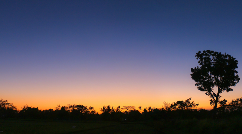 Detail Background Senja Hari Nomer 38
