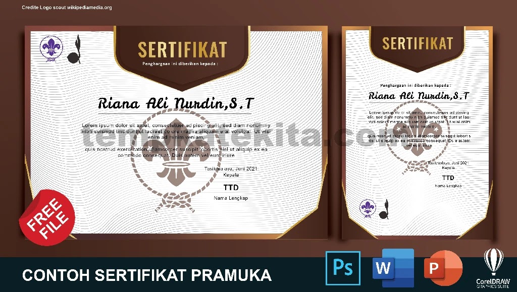 Detail Background Sertifikat Pramuka Nomer 16
