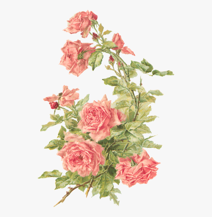 Detail Background Shabby Flower Nomer 32