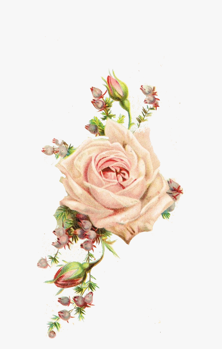 Detail Background Shabby Flower Nomer 36