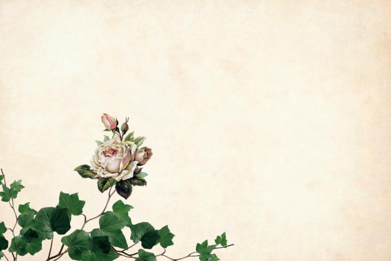 Detail Background Shabby Flower Nomer 38