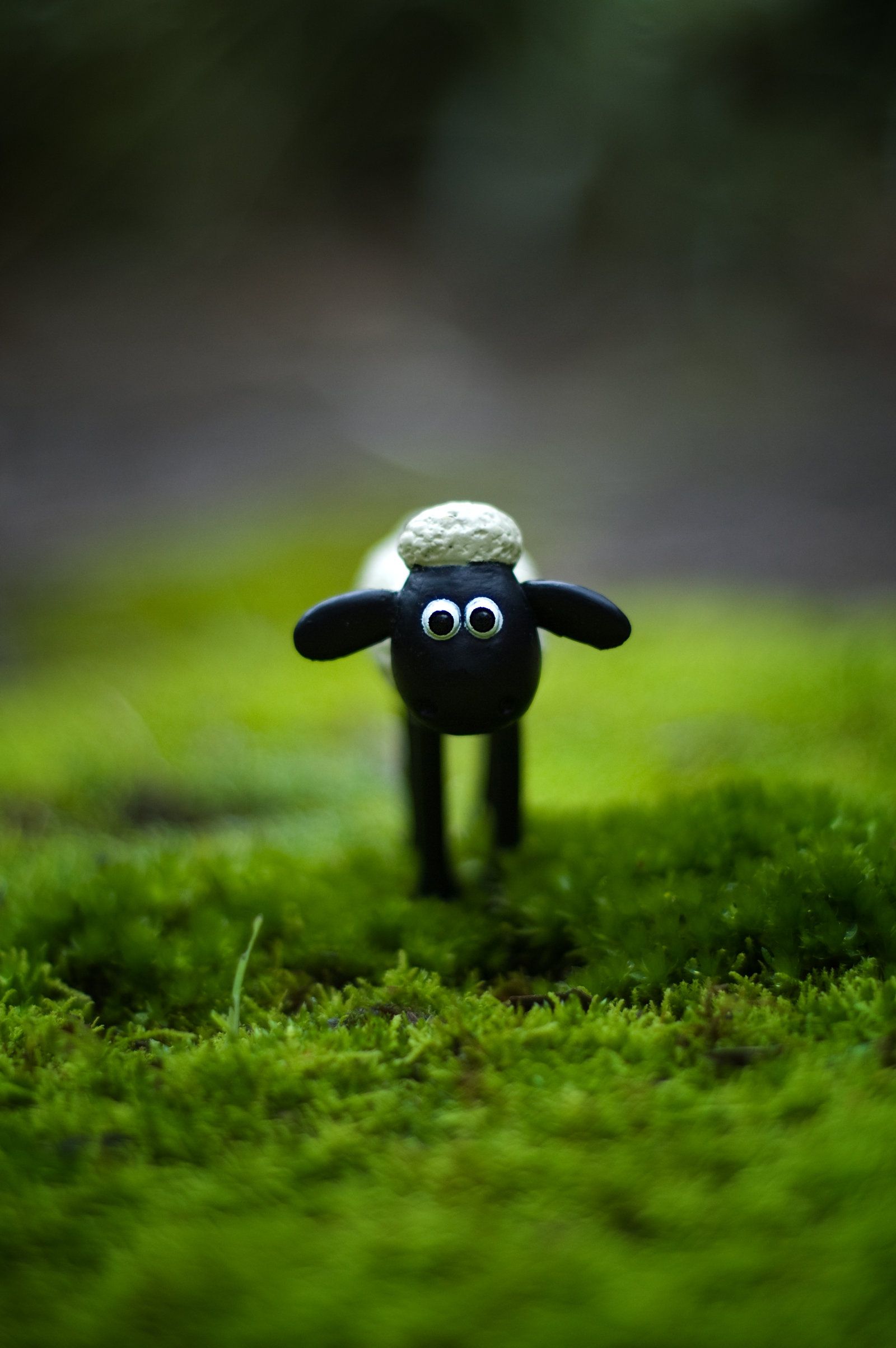 Detail Background Shaun The Sheep Nomer 35