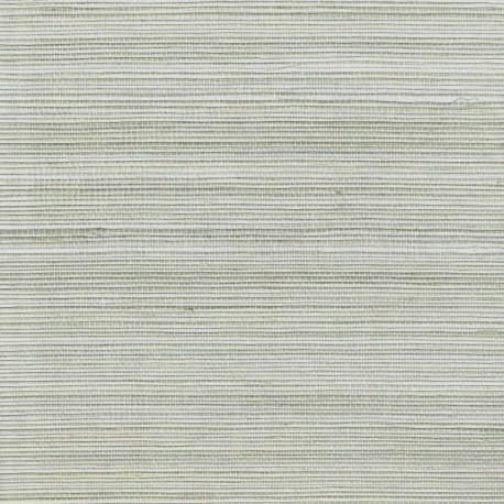 Detail Background Silver Polos Nomer 49