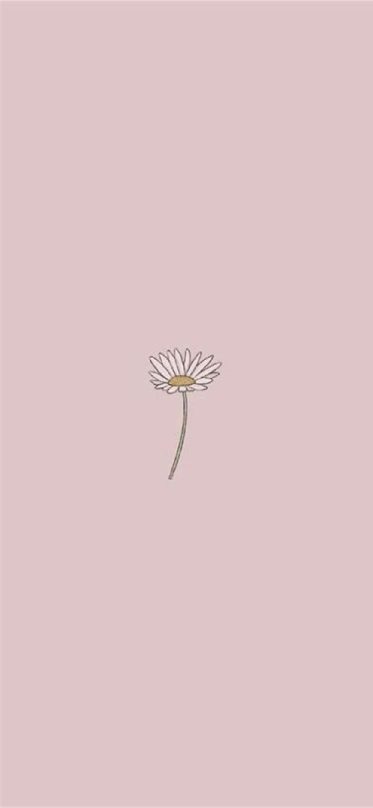Detail Background Simple Aesthetic Nomer 45