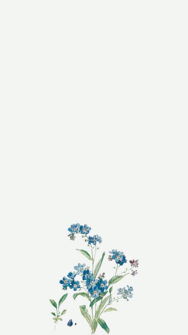 Detail Background Simple Aesthetic Nomer 57