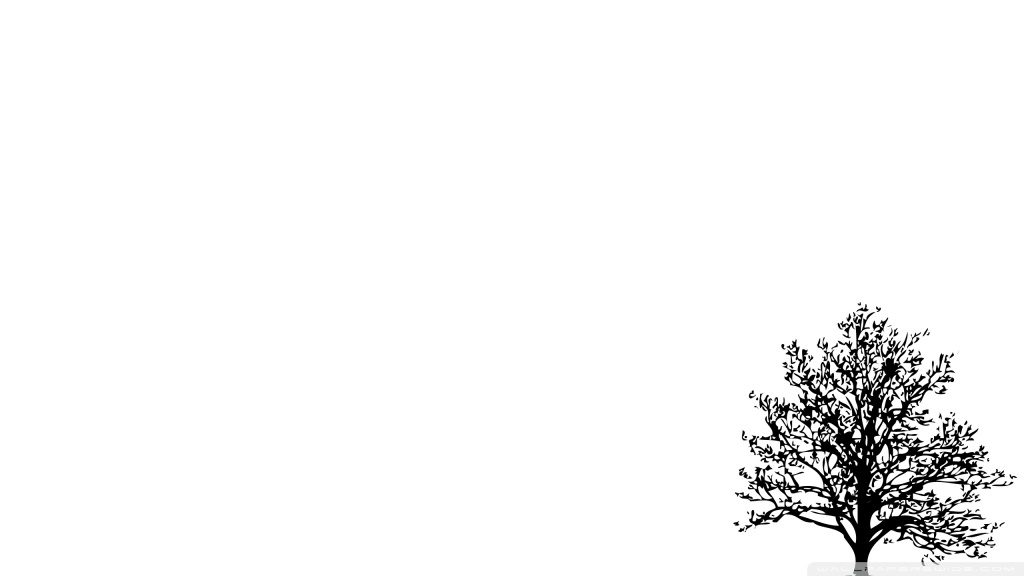 Detail Background Simple Black And White Nomer 40