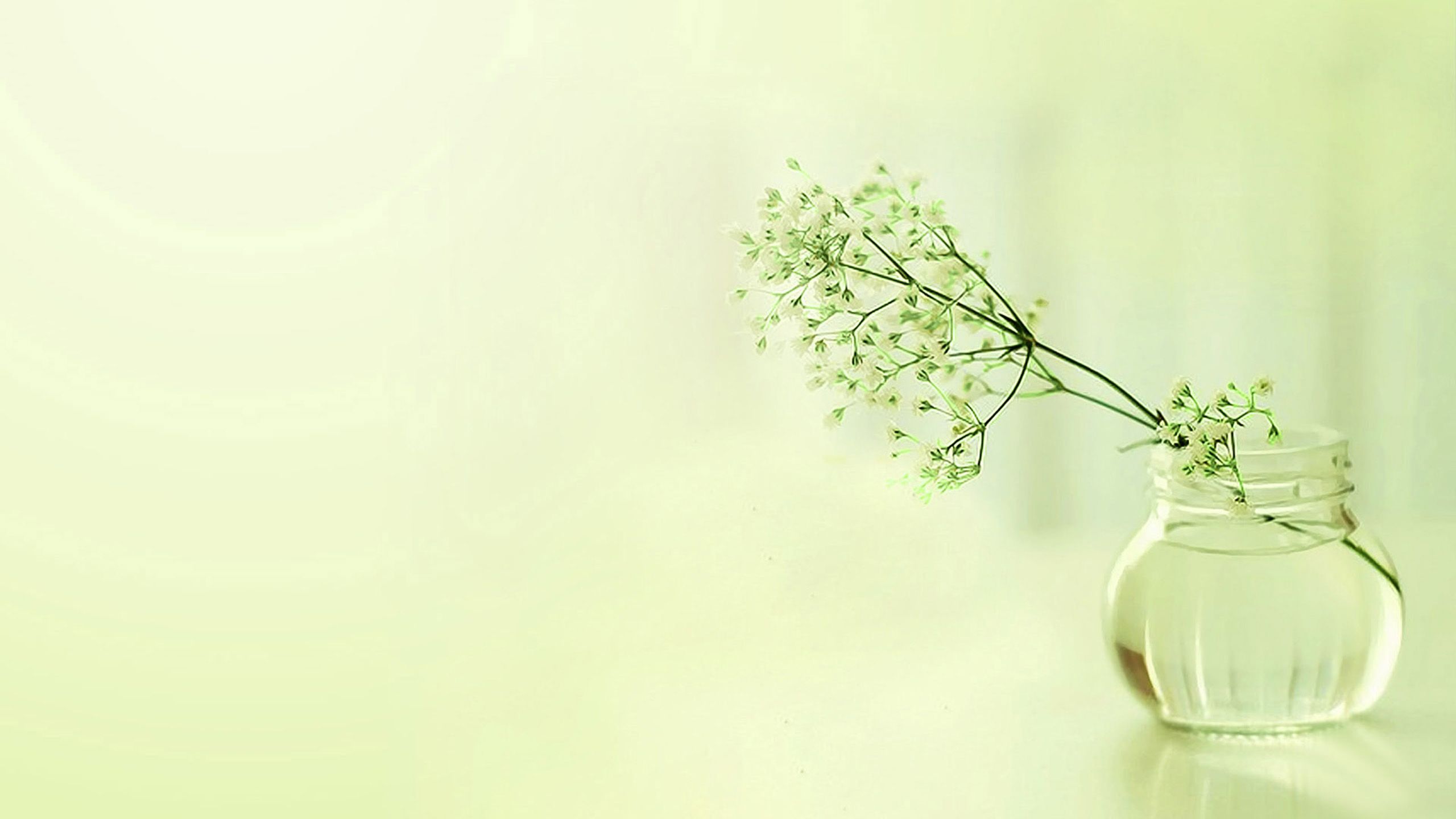 Detail Background Simple Elegant Nomer 32
