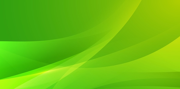 Detail Background Simple Hijau Nomer 6