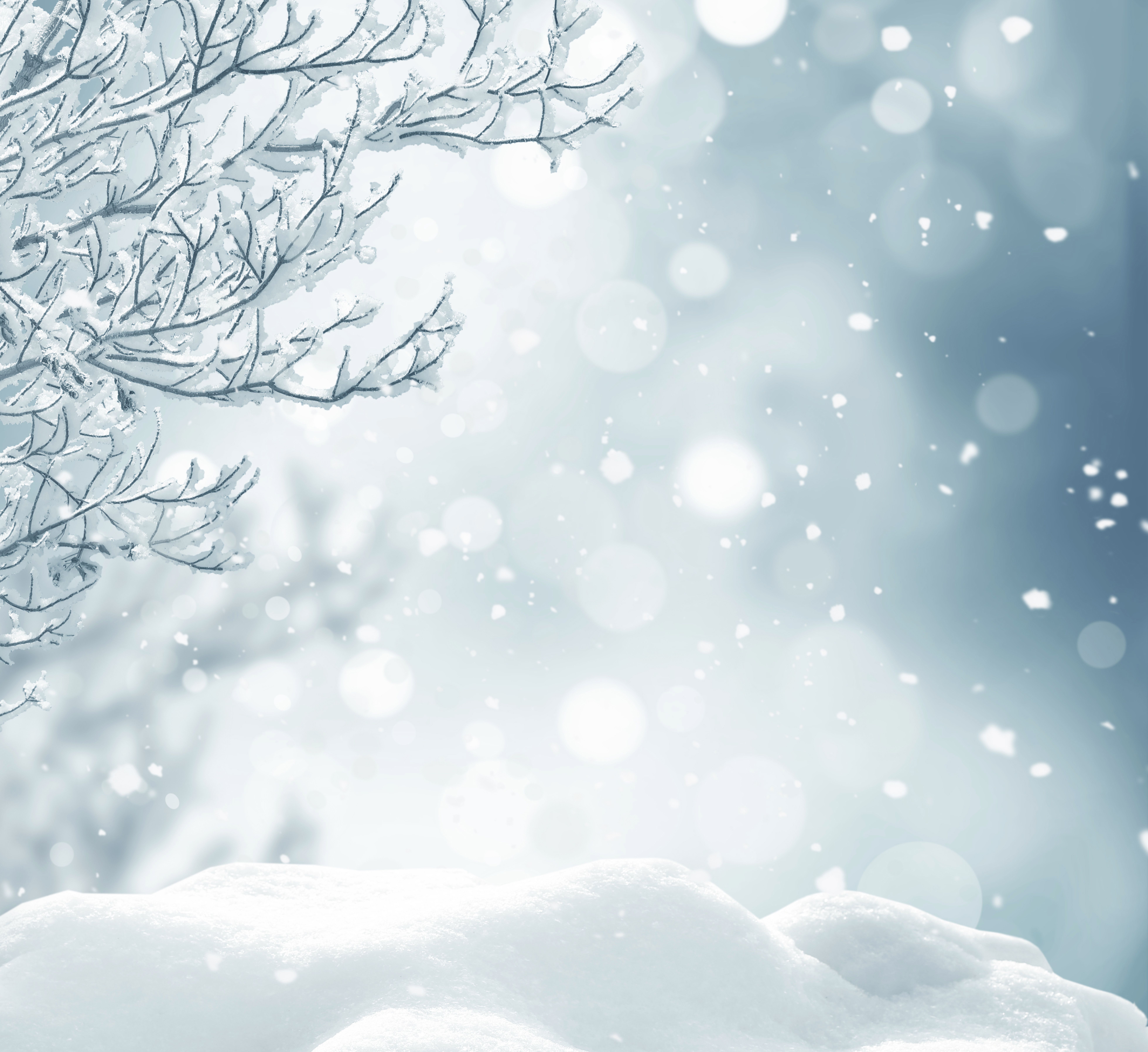 Detail Background Snow Nomer 23