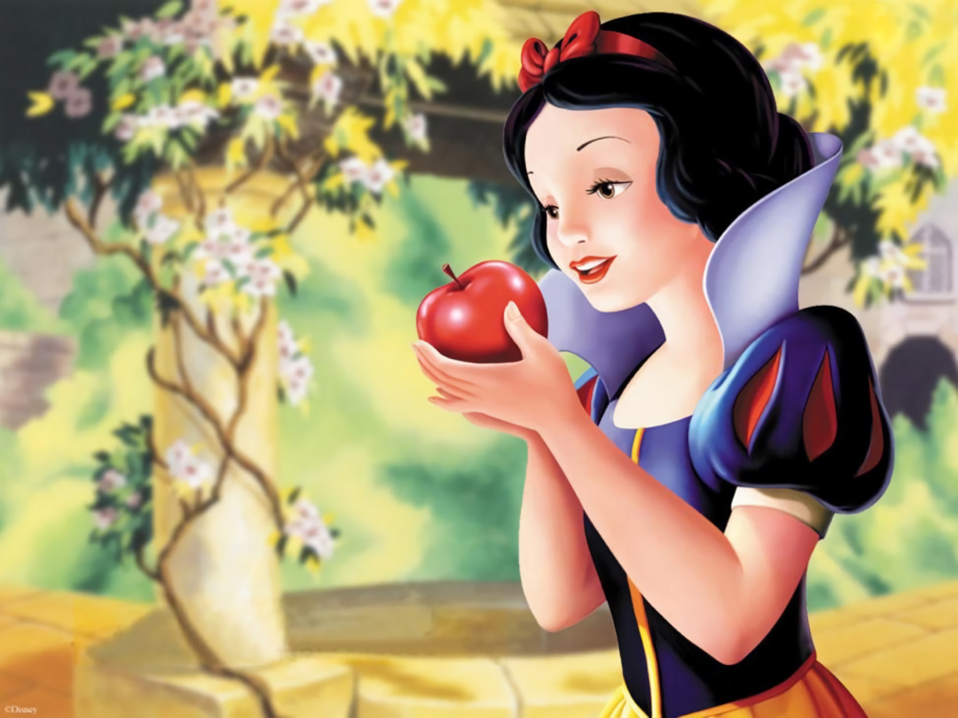 Detail Background Snow White Nomer 9